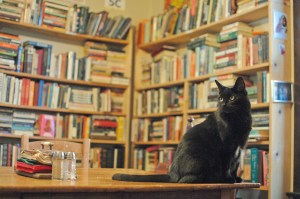 Val-Kyttie surveys her domain...