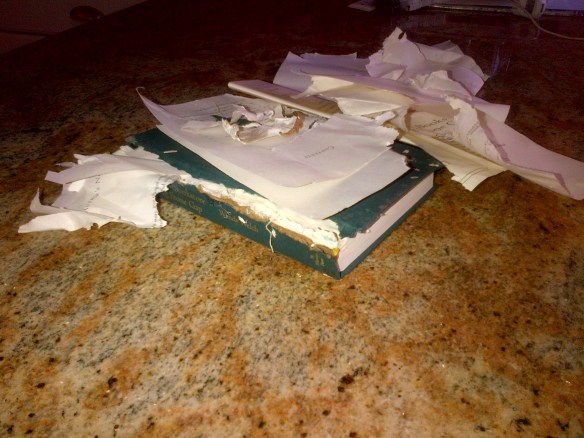 IMG-20130119-00001-1