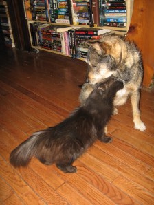 ...inter-staff relationship maintenance...