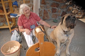 HomeCraftDays2010 028_edited-1