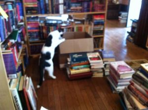 Owen helps with books