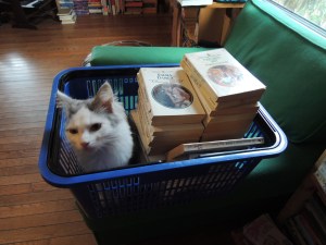 ..getting purrrsonally involved in inventory management....