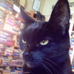 Dealing with customers calls on deep diplomacy skills.