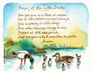 PrayerOfDucks