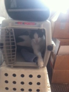 Meanwhile Owen is ready to go!