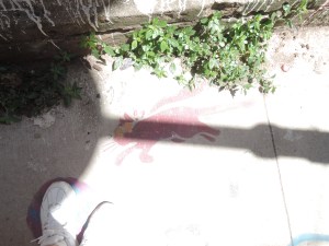 Chile Valparaiso 038