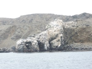 Isla del Damas 036