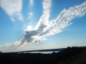 porter sculpture garden 011