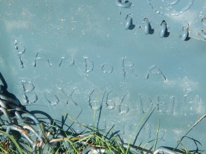 porter sculpture garden 080