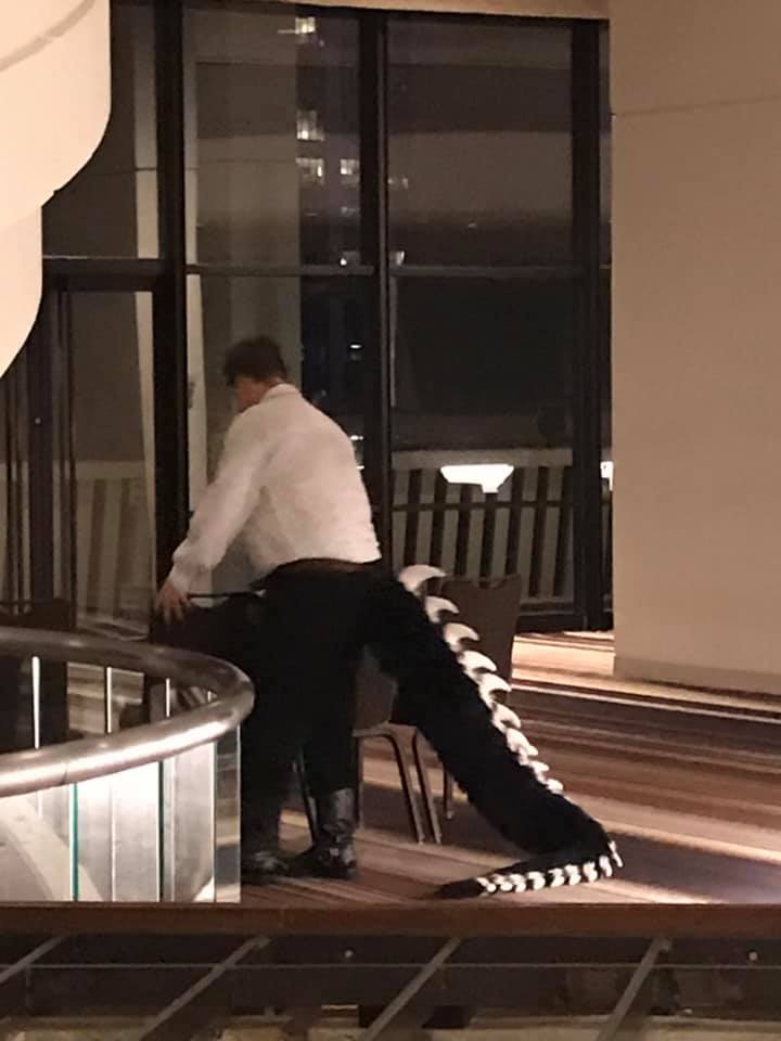 60197676_2540615052616210_5072177147590737920_n