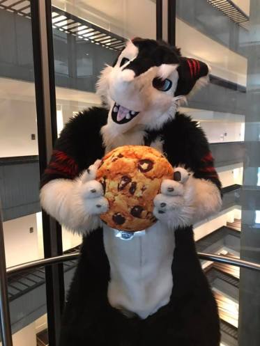 cookie furry