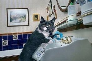 f2f262695ba52a8387ccb4c57703b3da